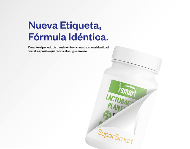 Probiótico de Lactobacillus plantarum HK L-137