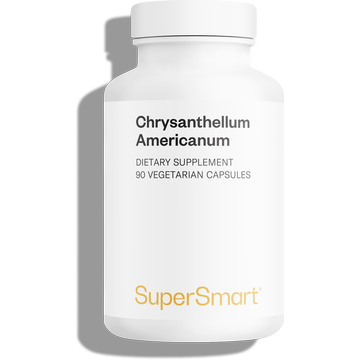 Supplement van Chrysantellum americanum