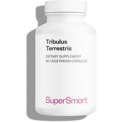 Complemento alimenticio Tribulus Terrestris, 40% de saponinas