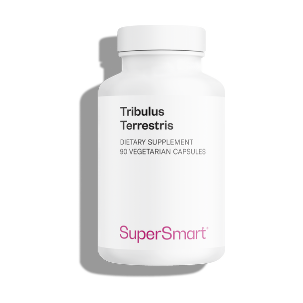 Tribulus Terrestris dietary supplement, 40% saponins