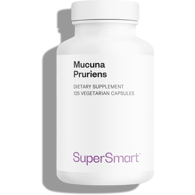 Mucuna pruriens suplemento alimentar, 15% L-Dopa