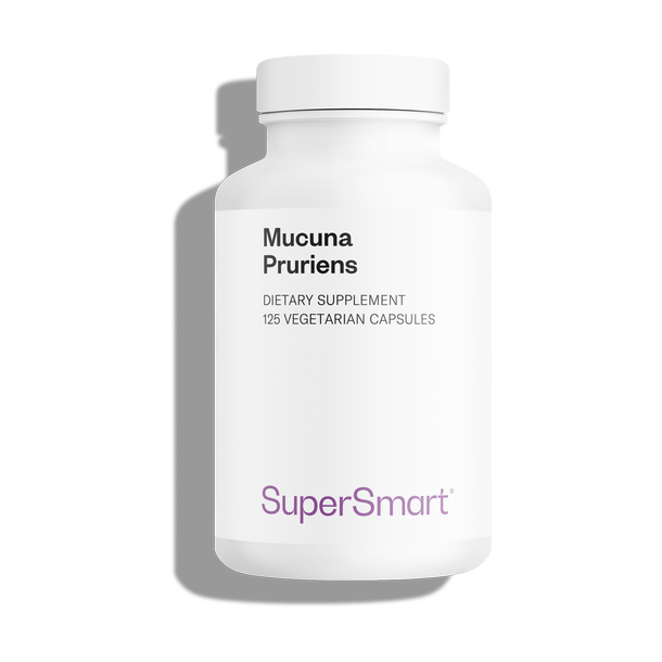 Mucuna pruriens suplemento alimentar, 15% L-Dopa