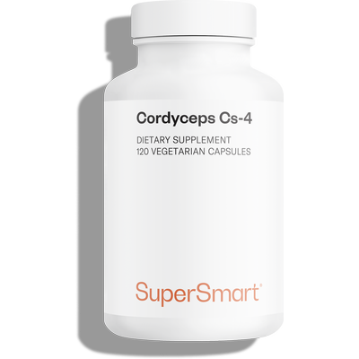 Complemento de extracto de hongo Cordyceps