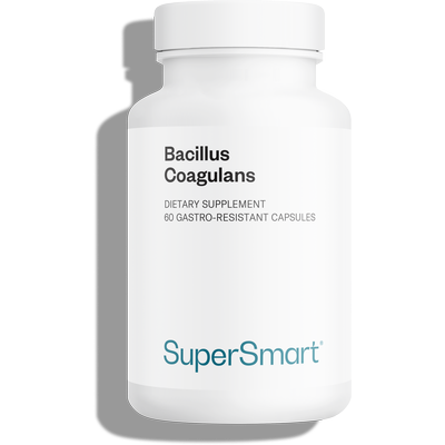 Probiotic Bacillus coagulans