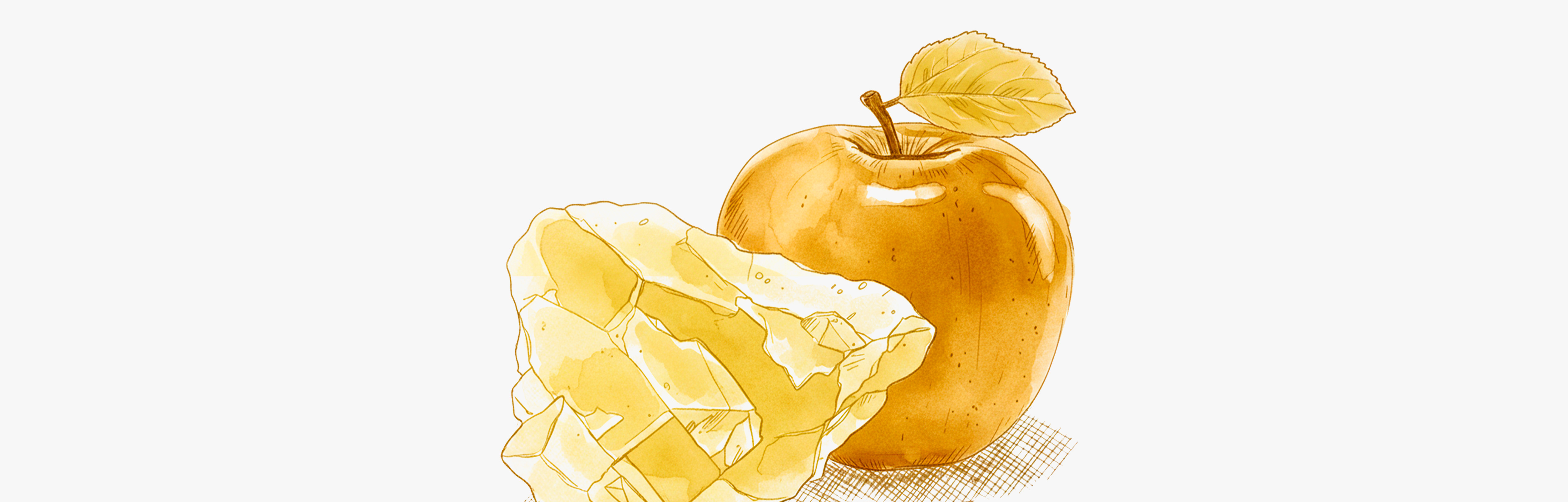 Magnesium malate has high bioavailability