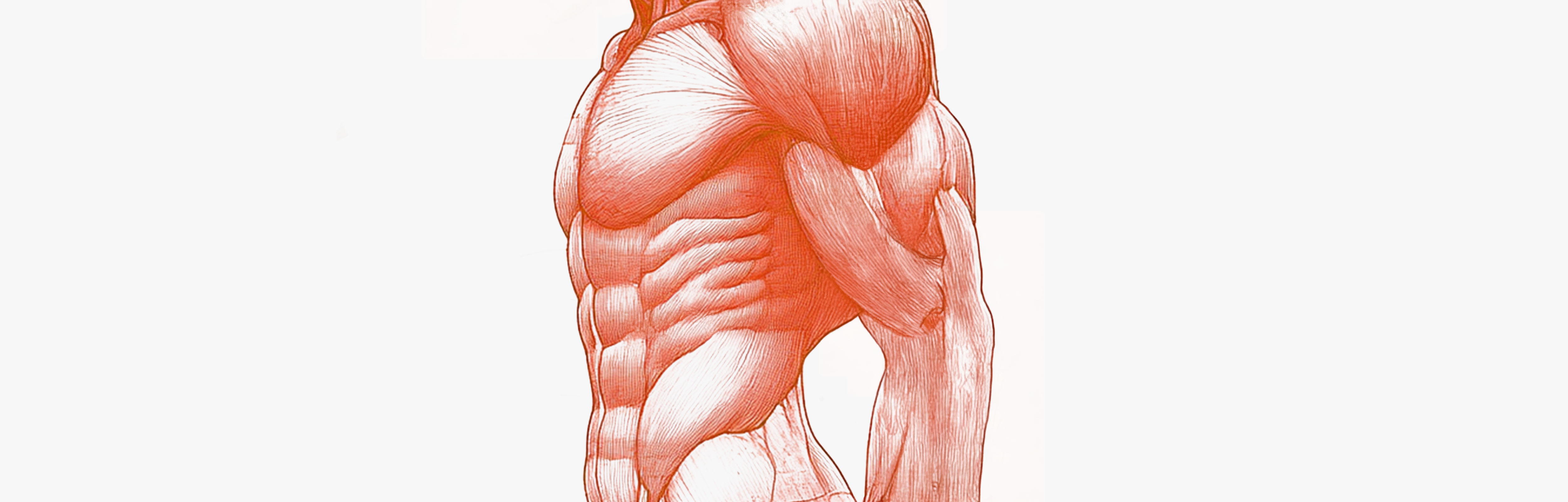 The foods highest in protein