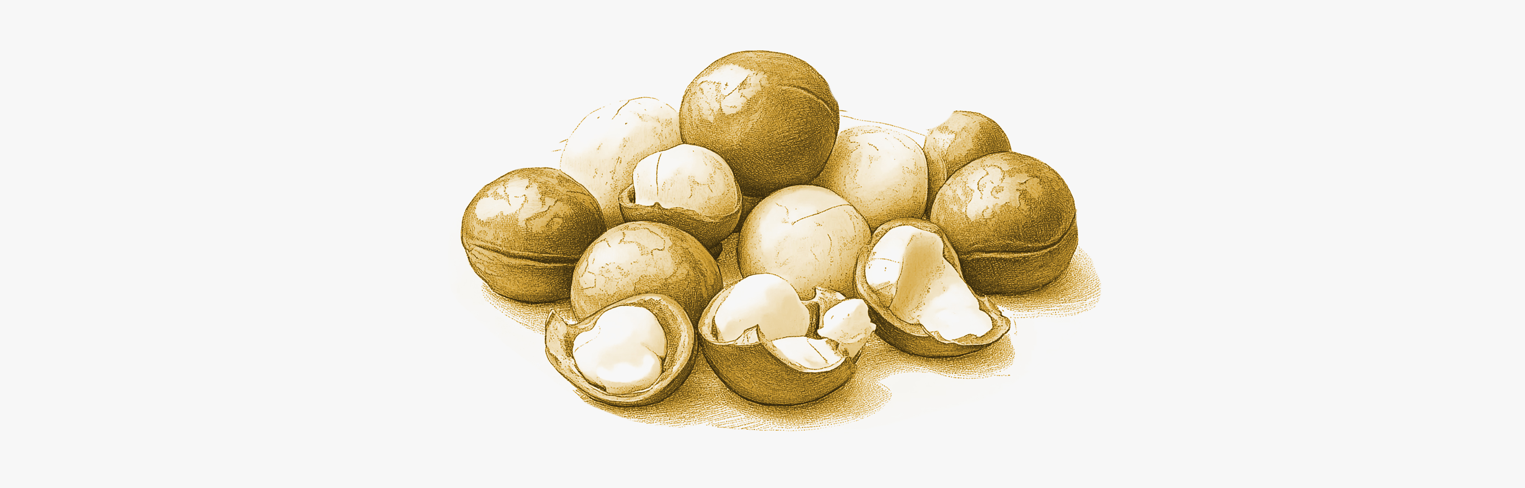 Les aliments les plus riches en vitamine B1