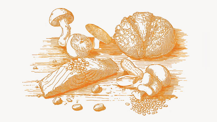 Découvrez les aliments les plus riches en vitamine B3