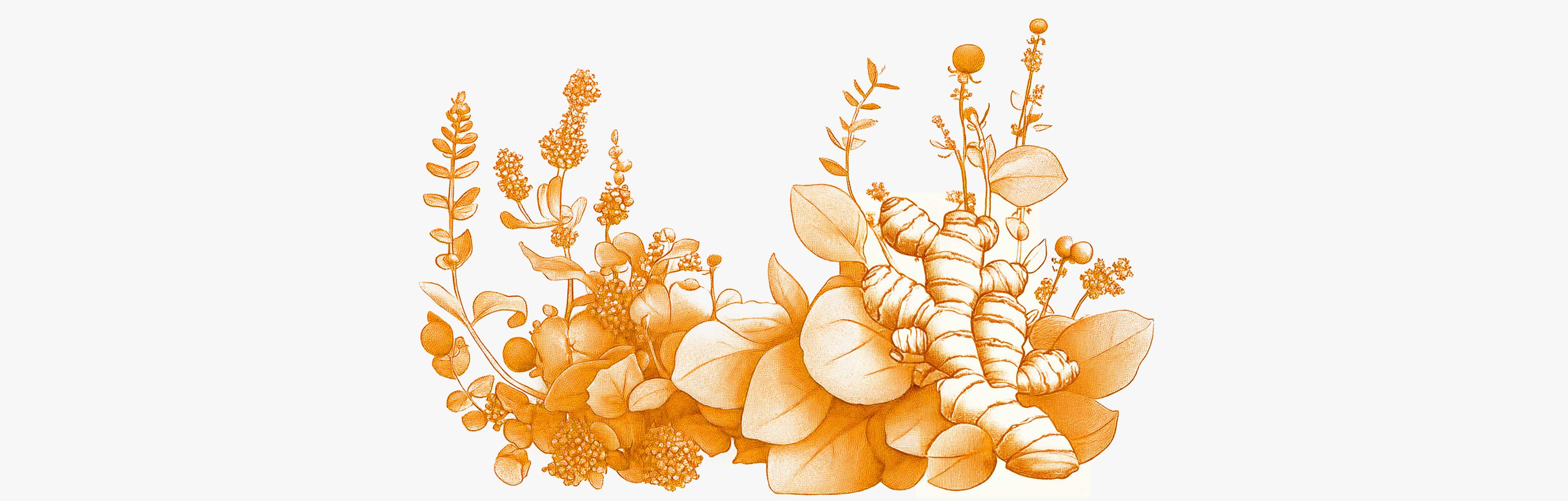 Best natural antibiotics