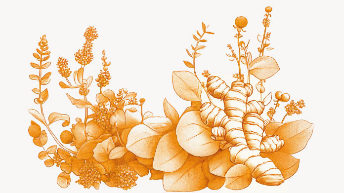 Beste natürliche Antibiotika