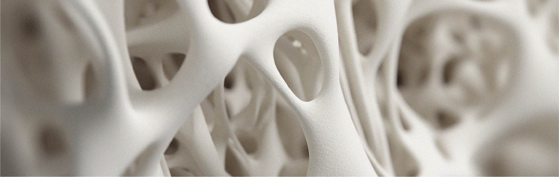 Comment l’alimentation peut influencer la santé articulaire