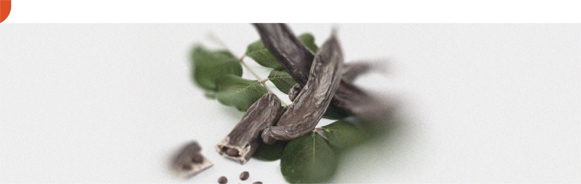 The benefits of carob