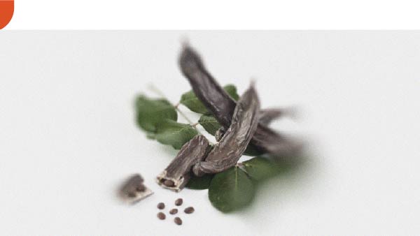 The benefits of carob