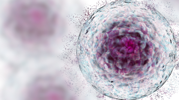 Vecchia cellula senescente che non può più dividersi