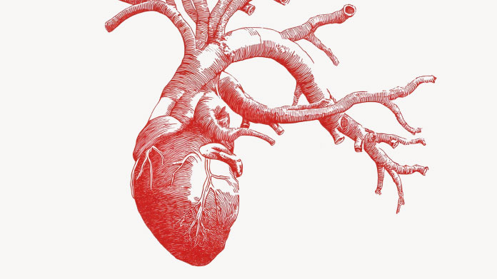 Eccesso di omocisteina per il cuore