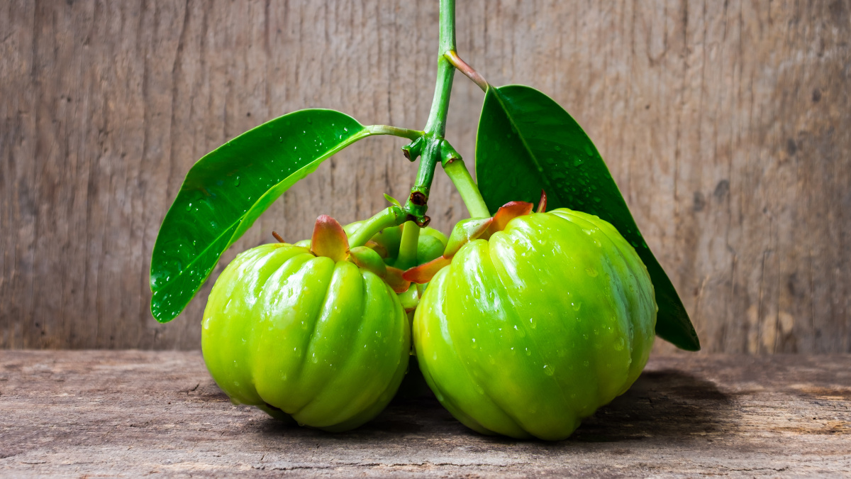 Frucht des Fettverbrenners Garcinia cambogia