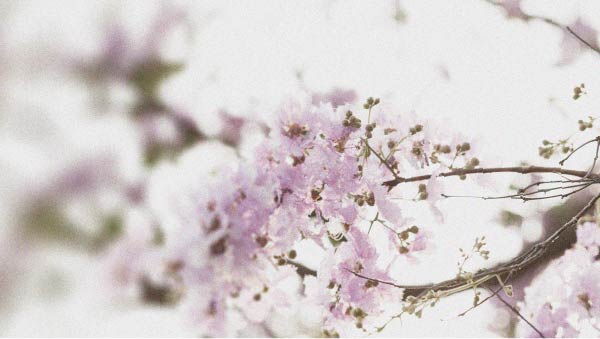 Hyperglycaemia and how to reduce it