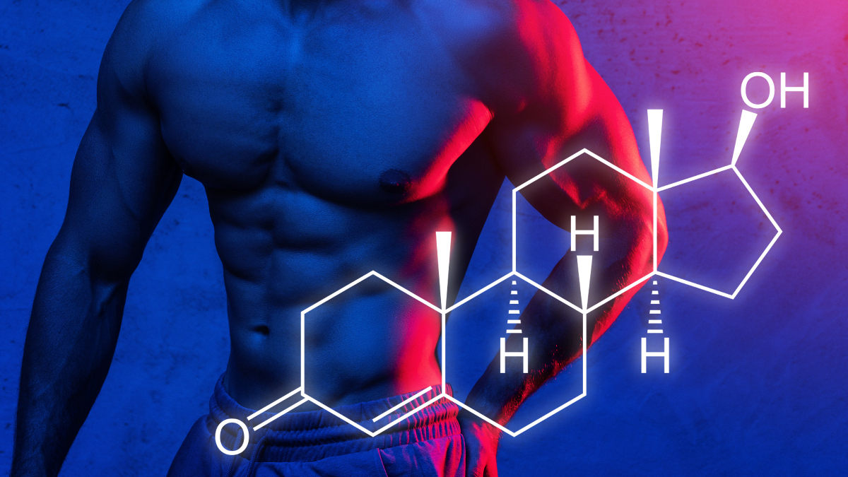 Augmenter votre testostérone