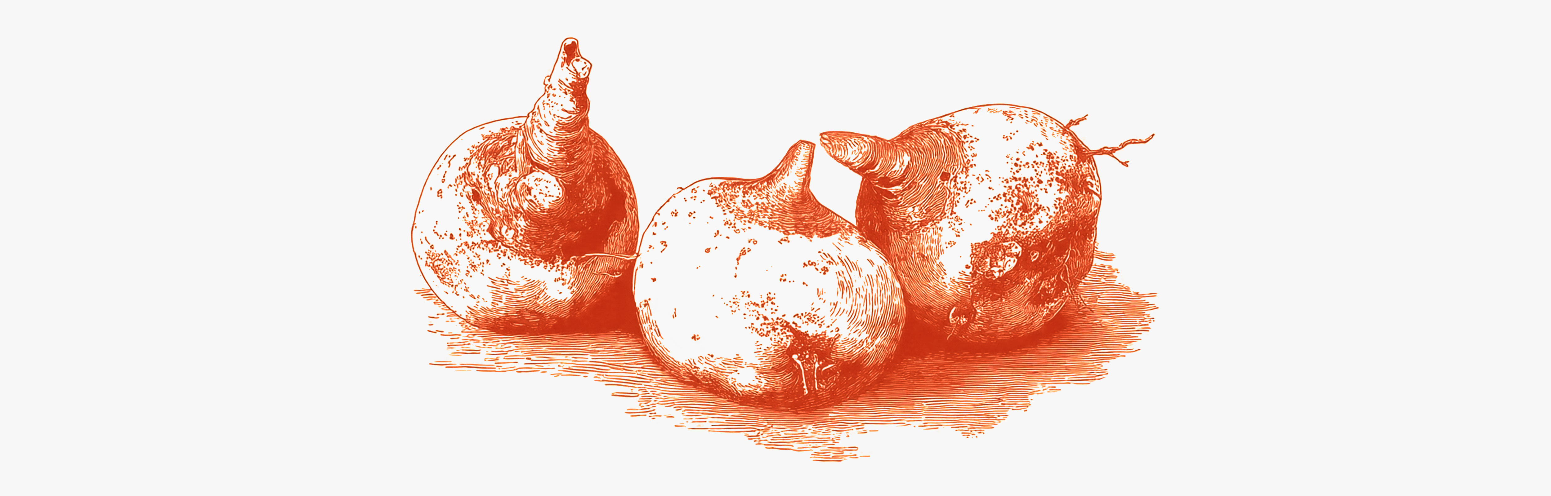 Discover the benefits of konjac