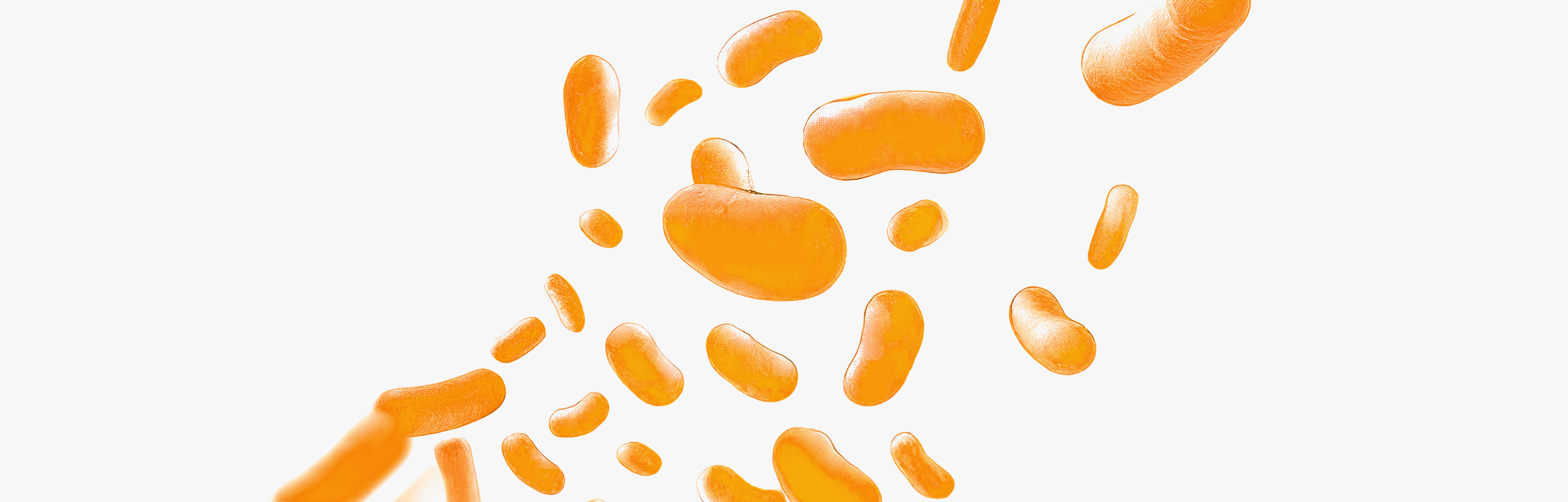 The benefits of Lactobacillus plantarum