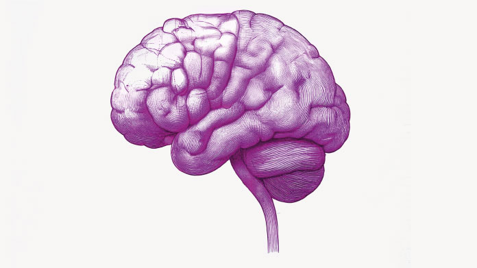 Gehirnentzündung und mentale Störungen