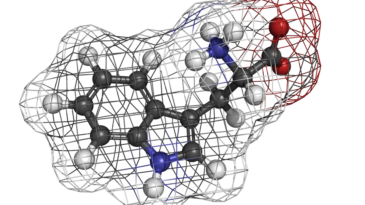 Tryptophan-Molekül