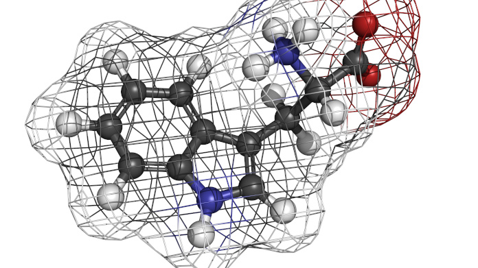 Tryptofaanmolecuul 