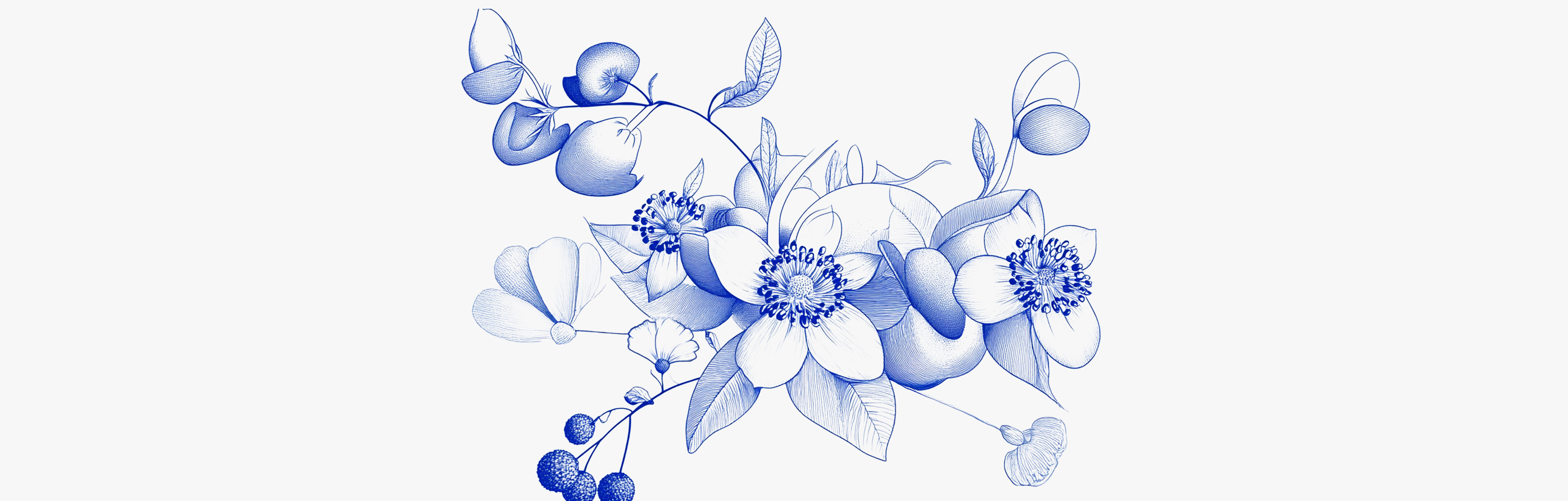 Natural muscle relaxants