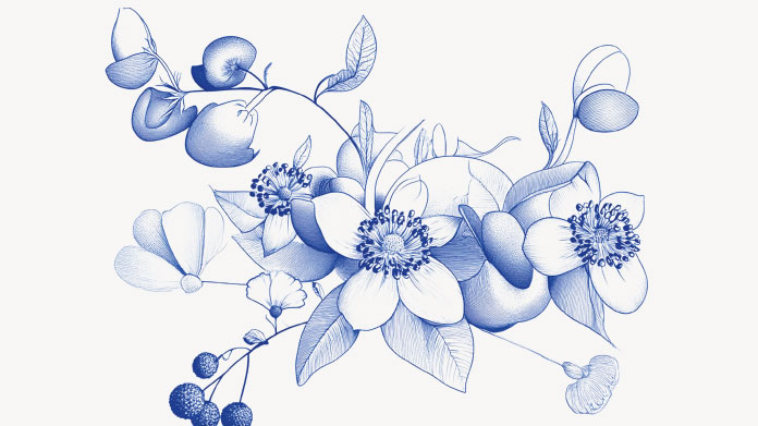 Natürliche Muskelentspanner