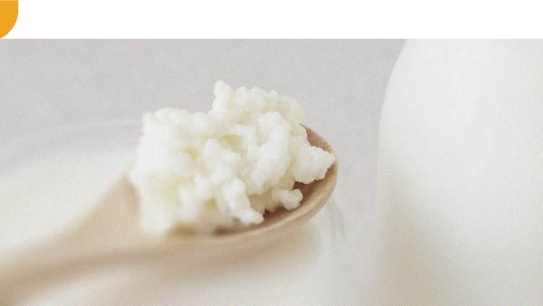 Different foods contribute to health