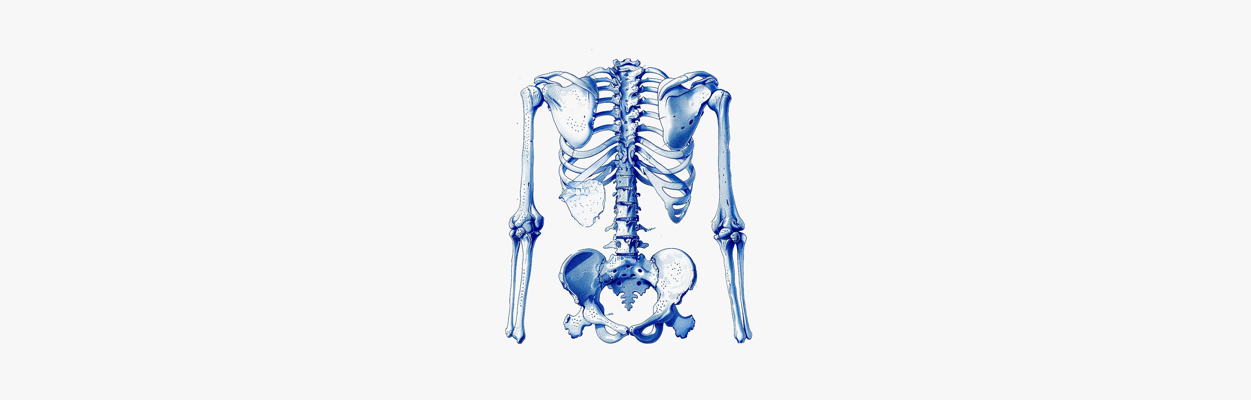 Behandlungen gegen Osteoporose