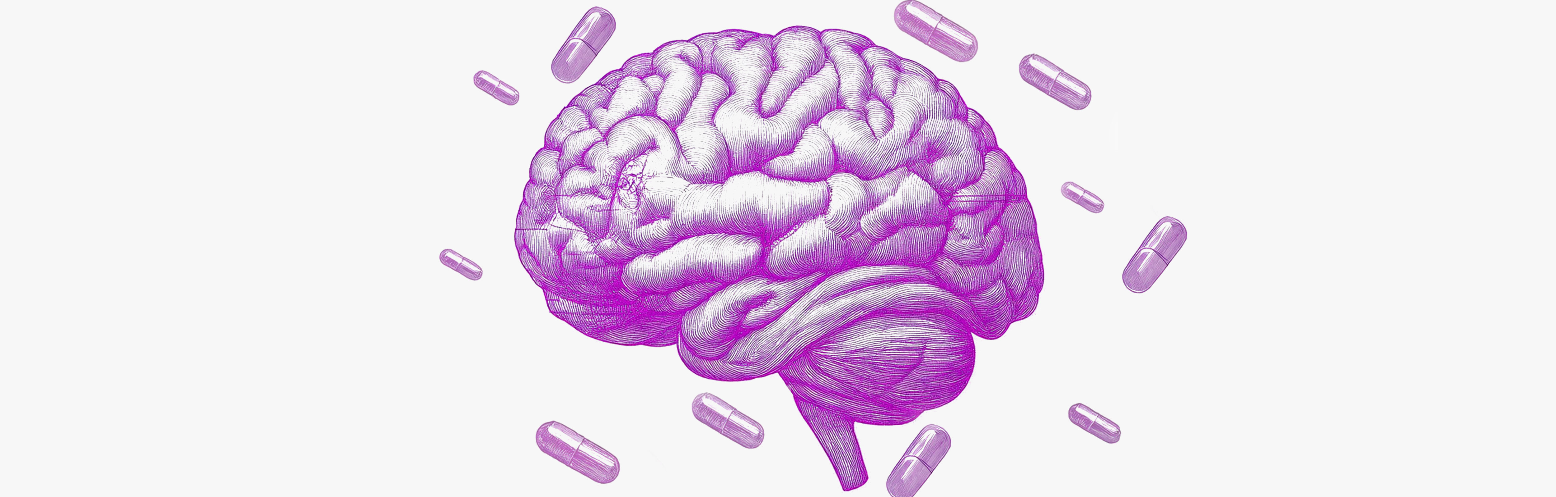 Definition of phenylalanine and dietary sources