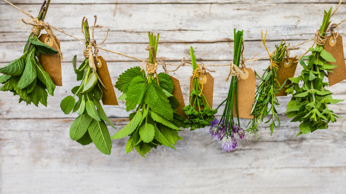 Plantas aromáticas y medicinales que se están secando