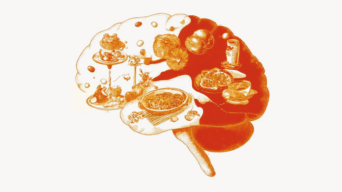 Ernährungsgedächtnis und Gewichtszunahme