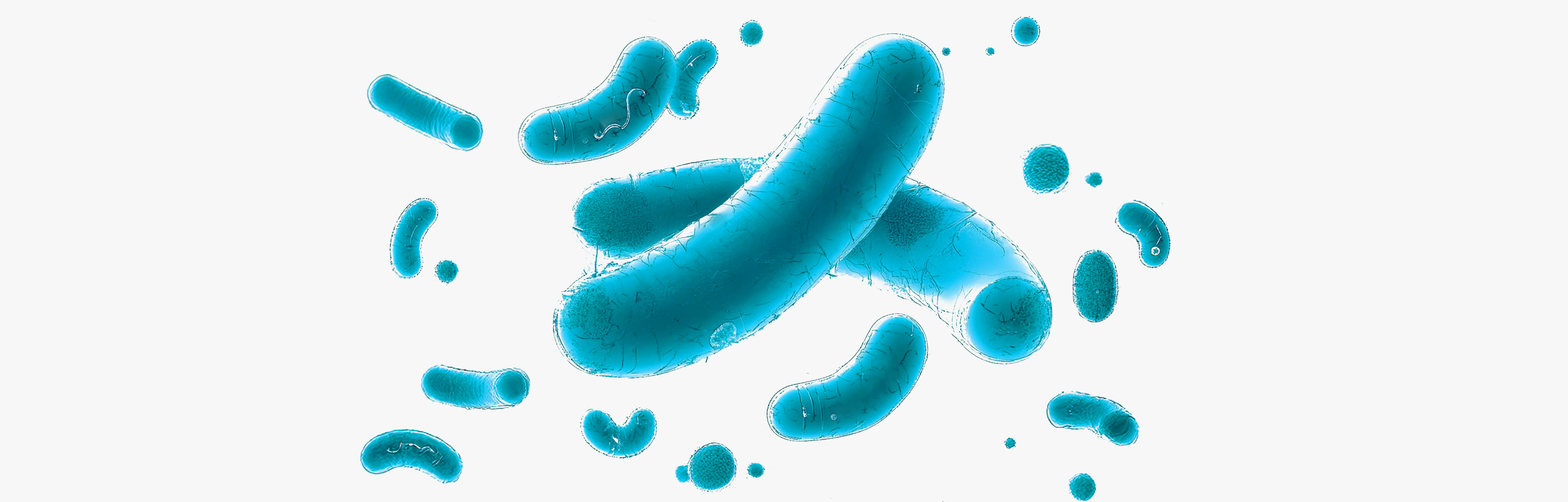 Health-promoting postbiotics