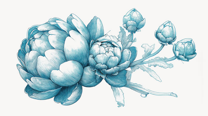 Il existe différents types de prébiotiques