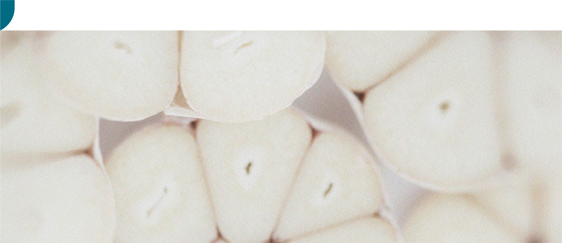 Discover the difference between prebiotics and probiotics