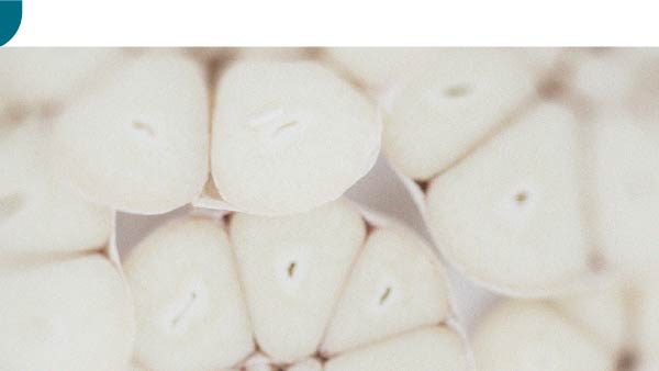 Discover the difference between prebiotics and probiotics