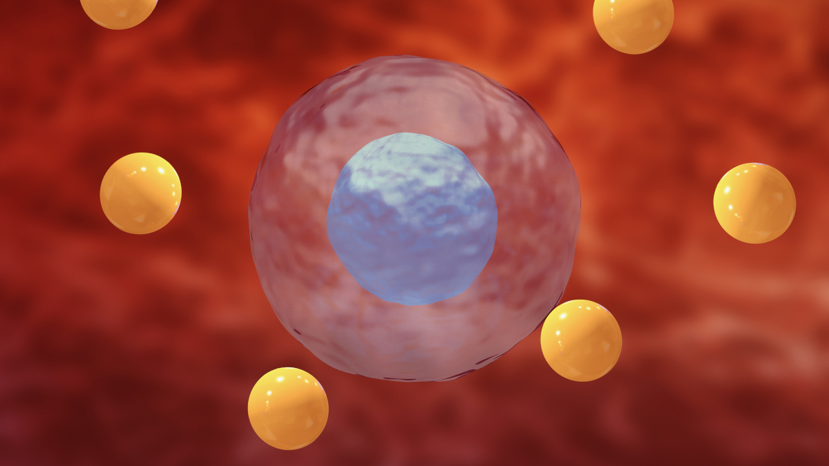 Stress oxidativo causado pelos radicais livres