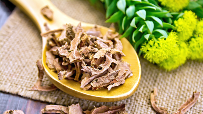 Raiz de ouro do antidepressivo Rhodiola rosea