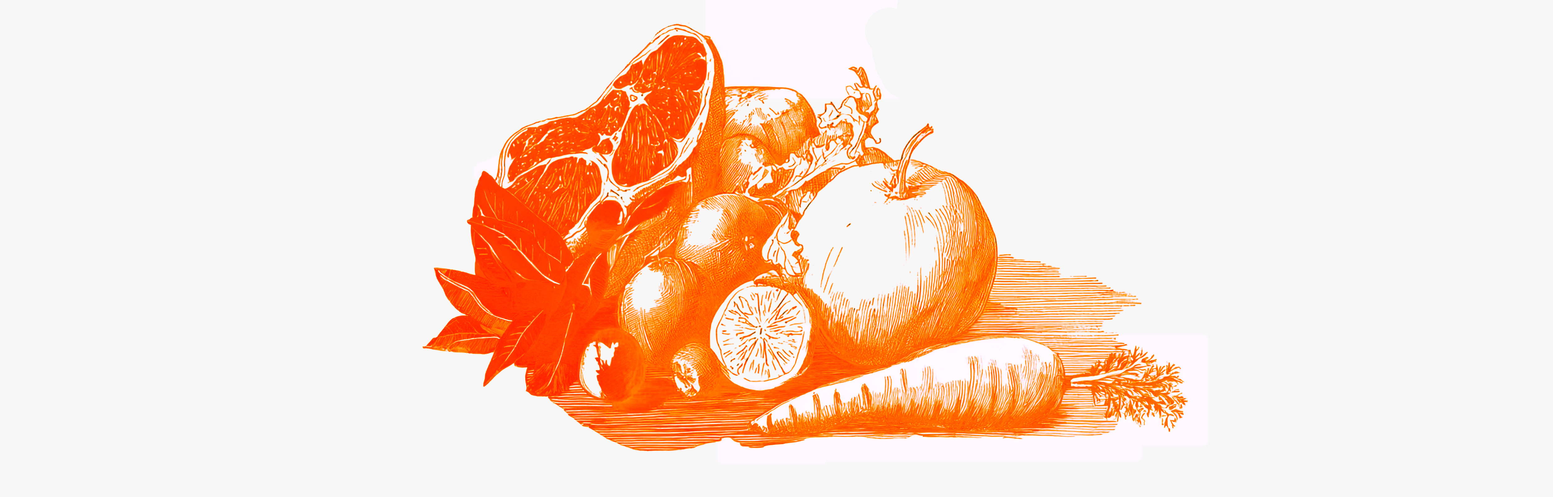 Discover everything about the Dukan diet