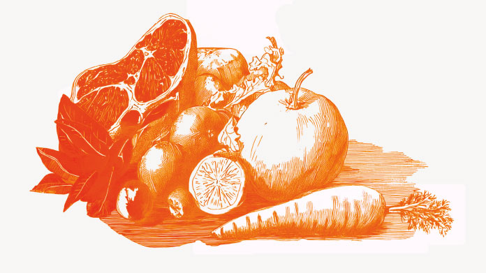 Erfahren Sie alles über die Dukan-Diät