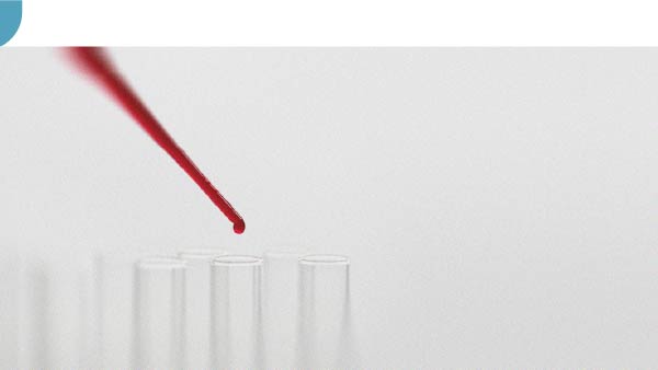 Understanding life expectancy through blood