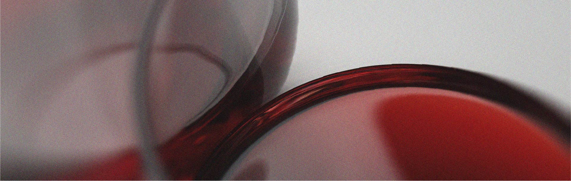 Bienfaits de la vigne rouge pour la circulation