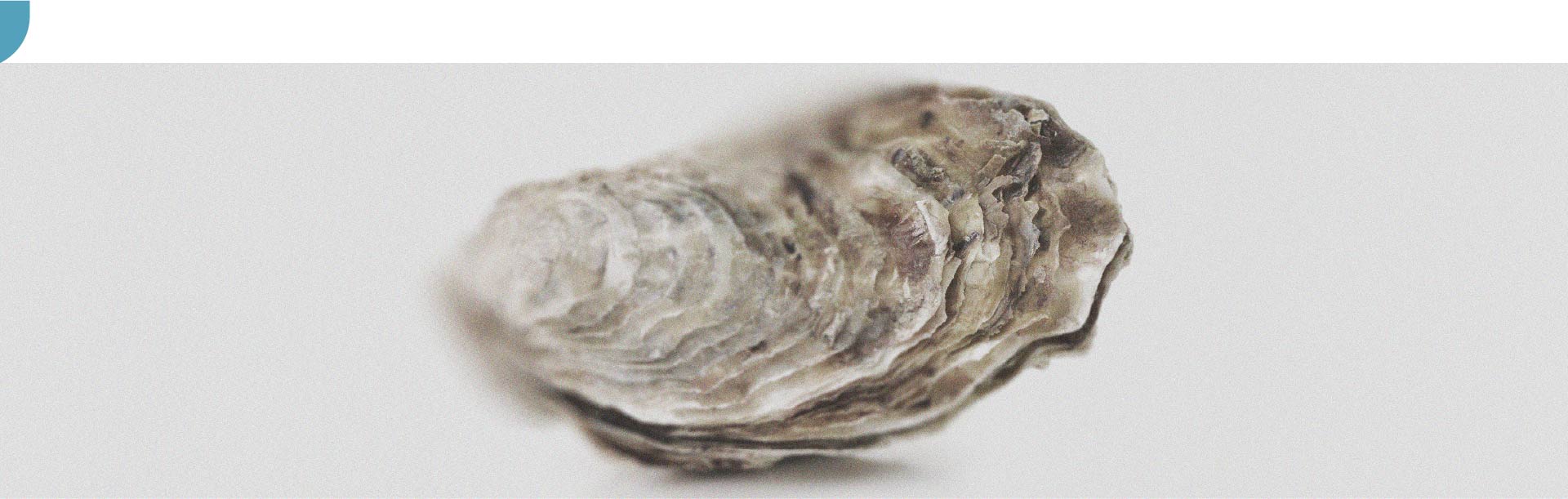 The benefits of zinc for women