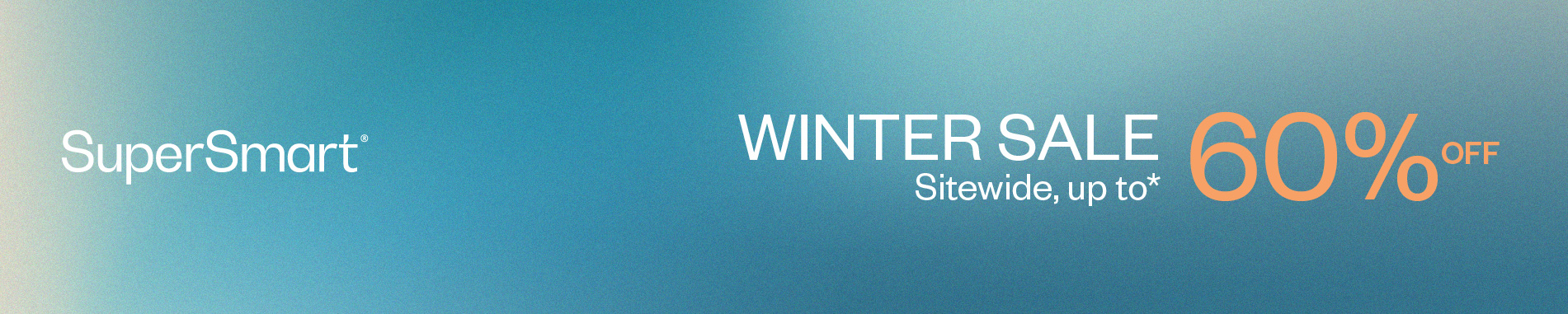Winter Sales on all products · up to 60% off*